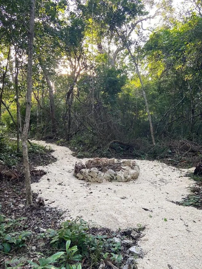 Santuario Jungle Apart otel Akumal Meksika