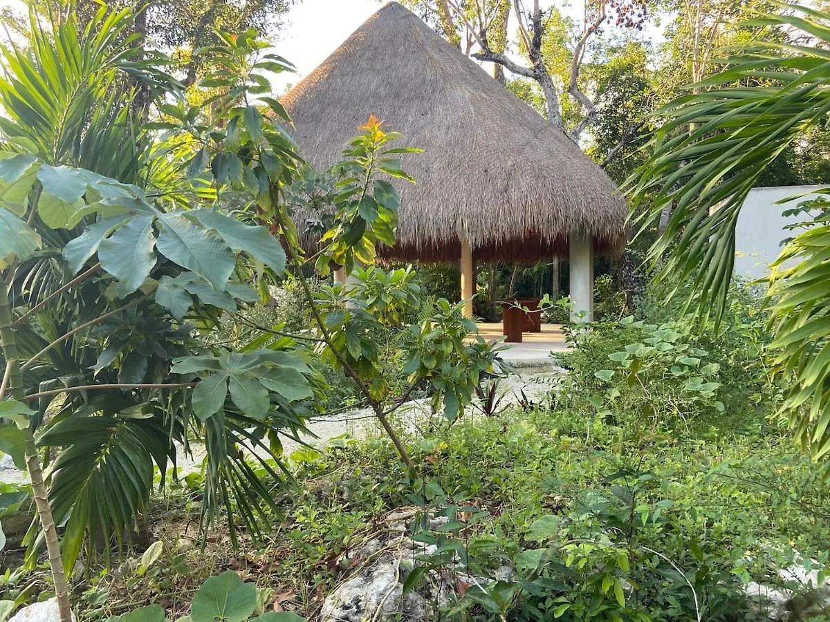 Santuario Jungle Apart otel Akumal